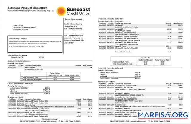 Downloadable USA Suncoast bank account statement word 2 pages example